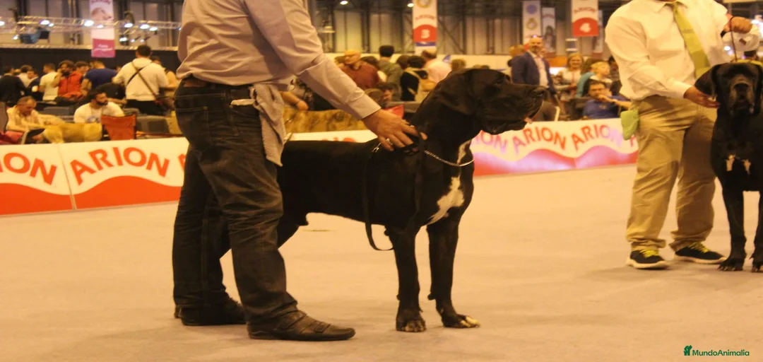 Imagen de galería {{count}}