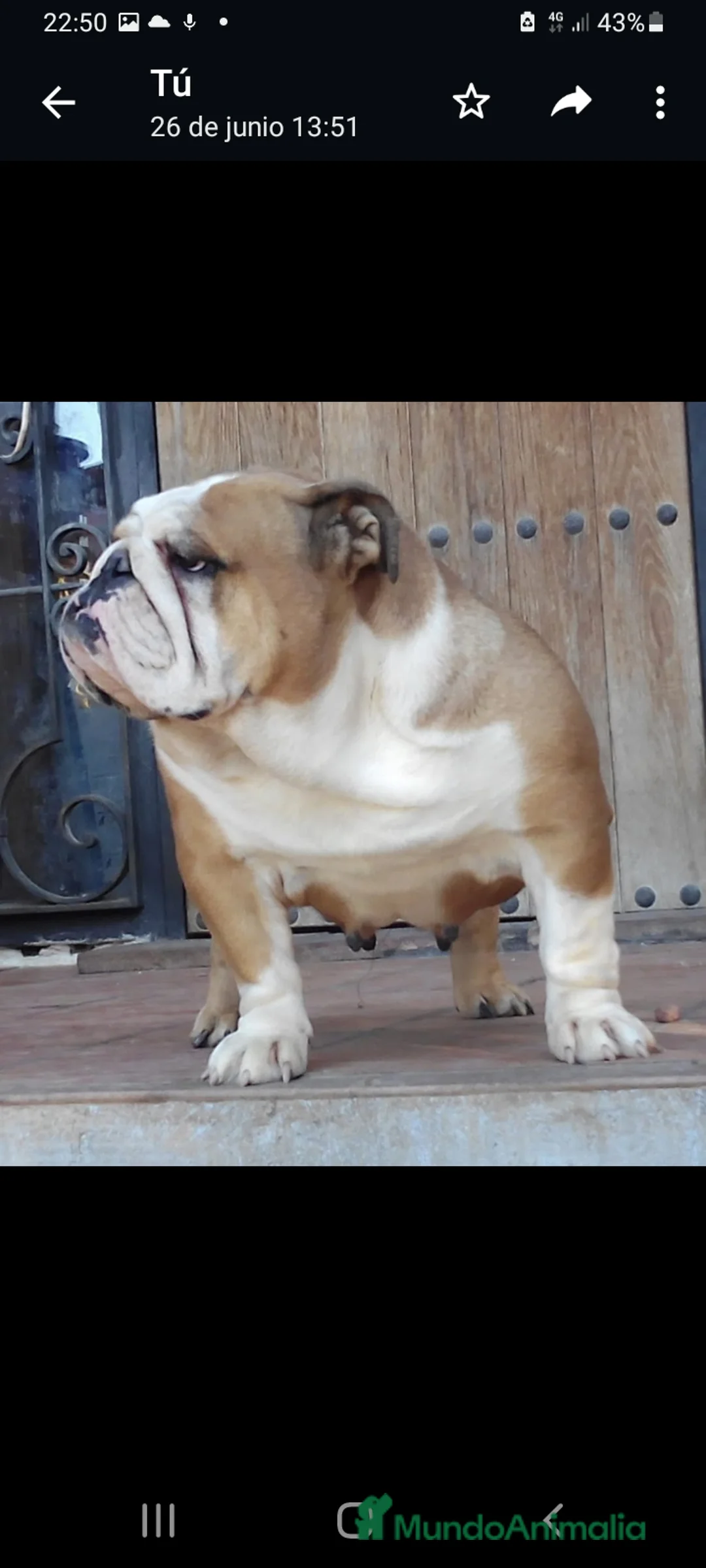 Imagen de galería {{count}}