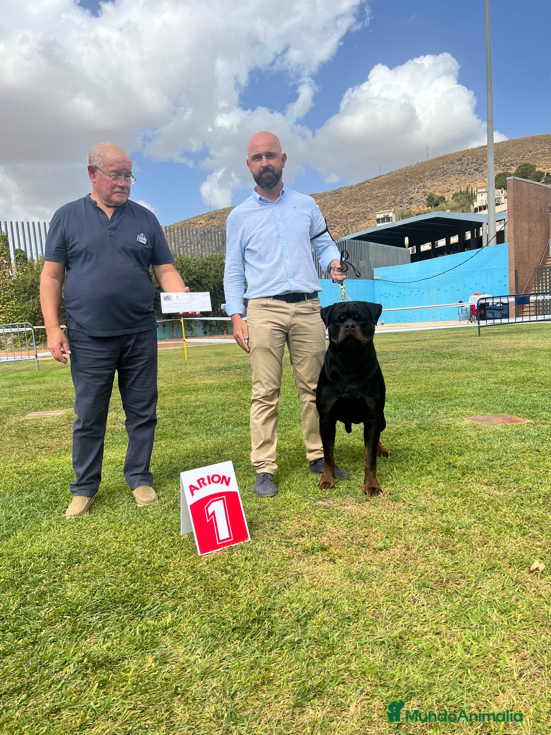 Rottweiler perros en venta: CACHORROS DE ROTTWEILER - Imagen 6