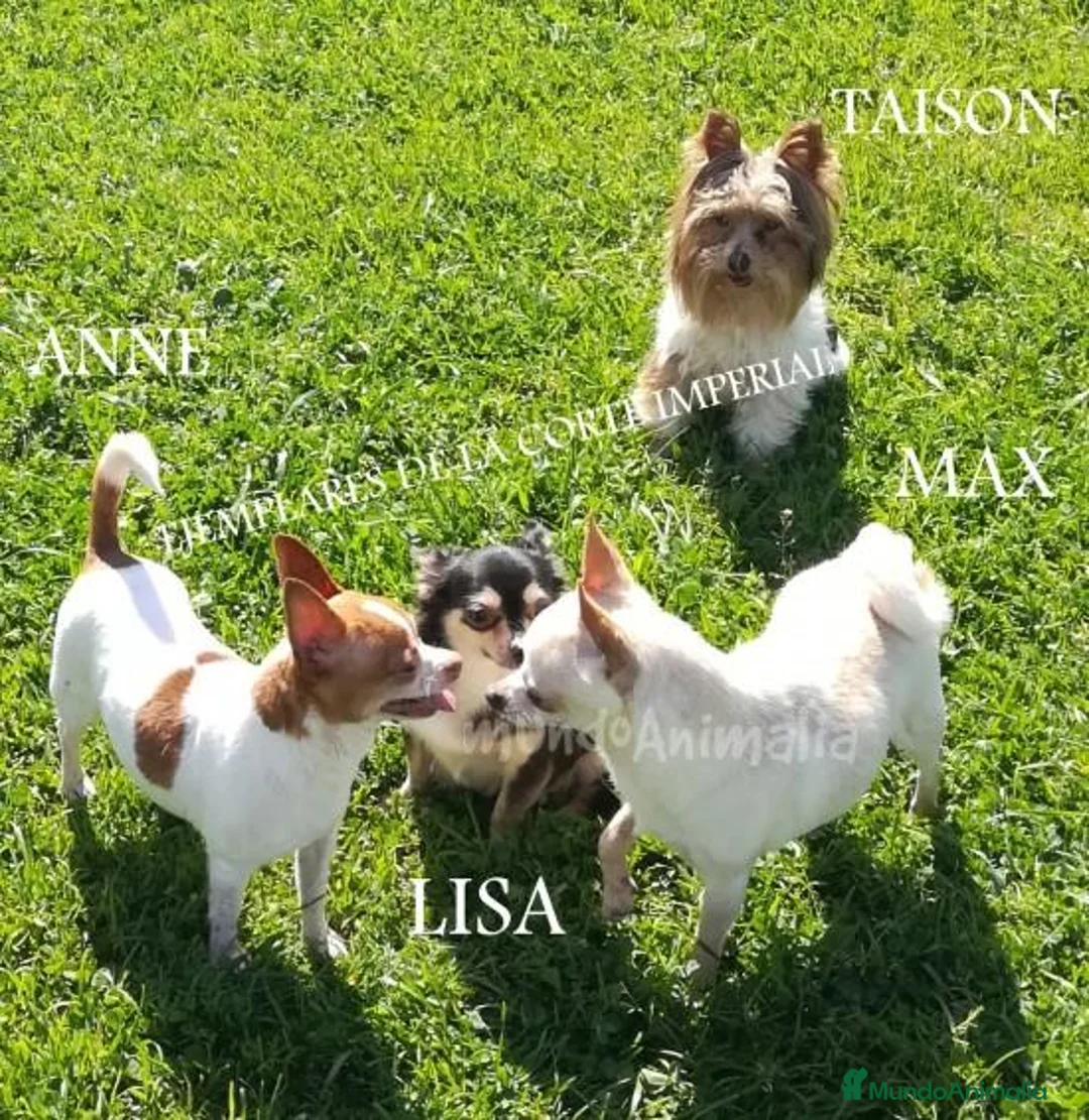 Imagen de galería {{count}}