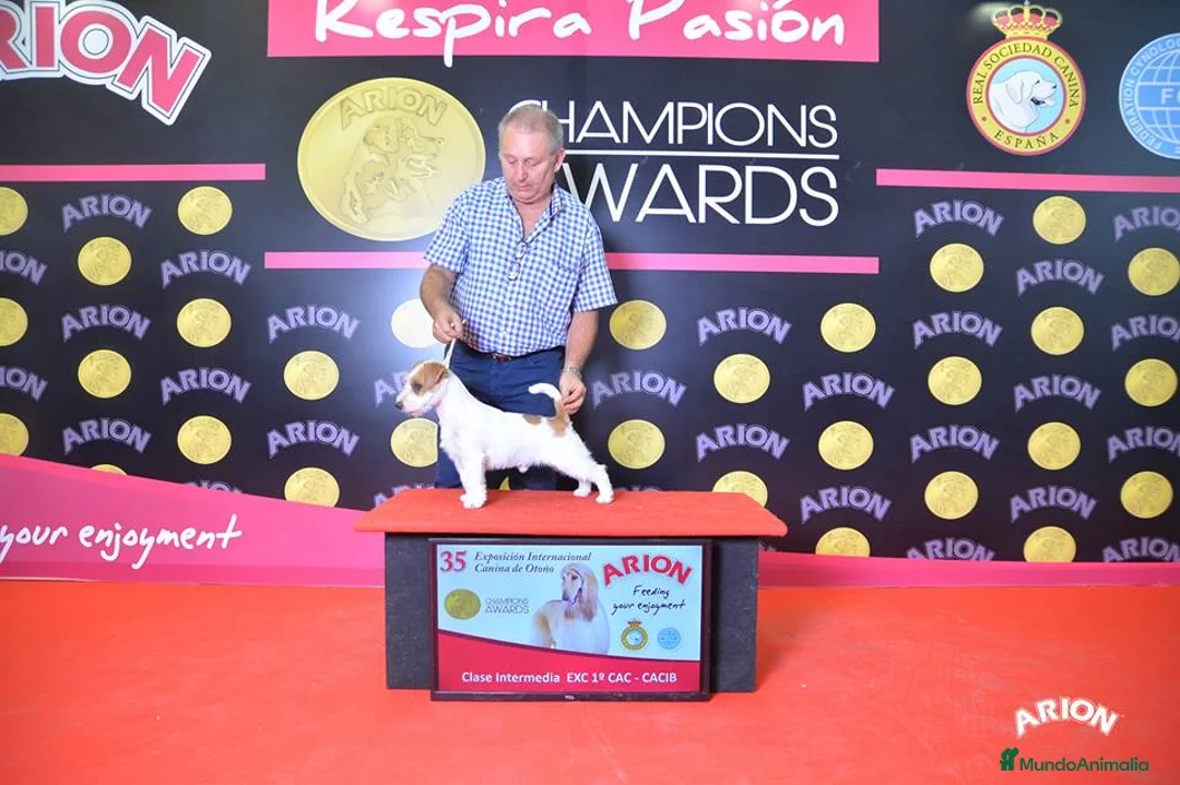 Imagen de galería {{count}}