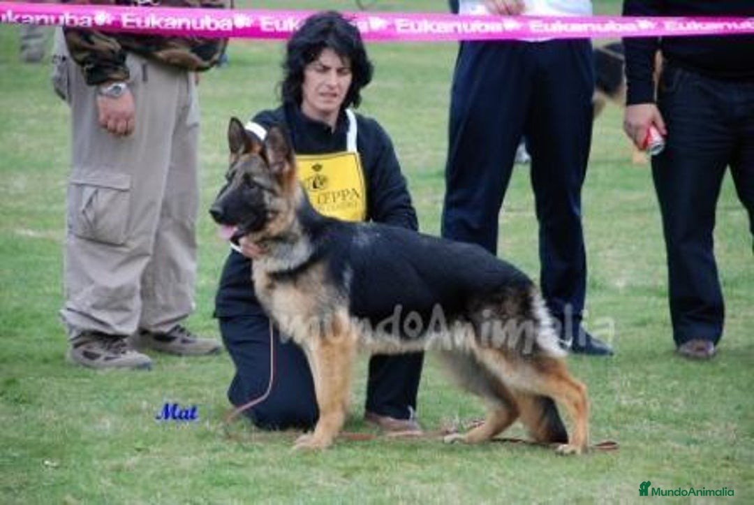 Imagen de galería {{count}}