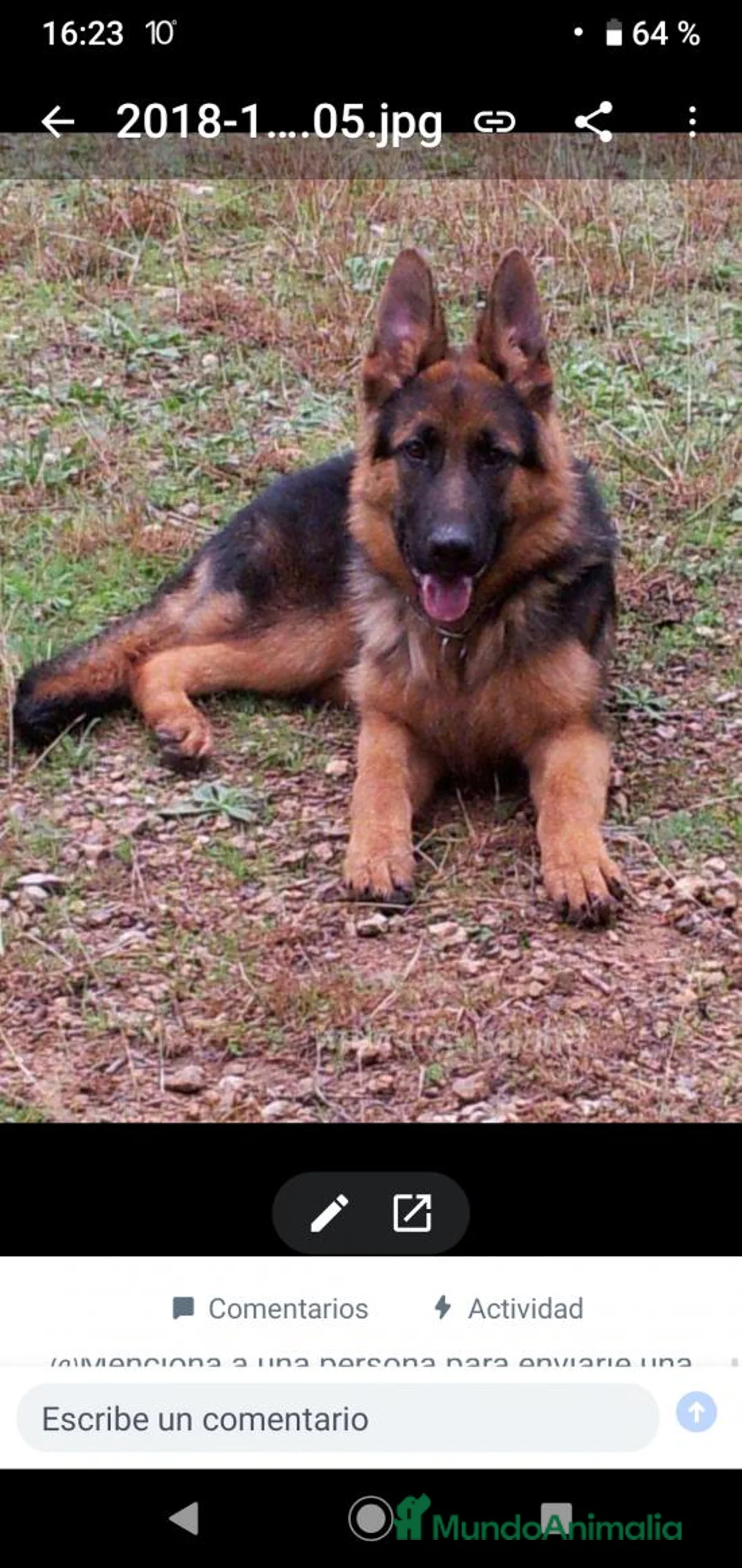 Imagen de galería {{count}}