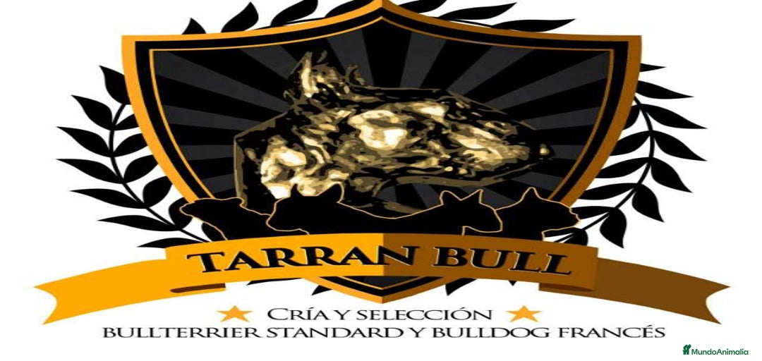 Imagen de galería {{count}}