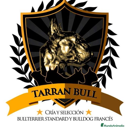 Imagen de galería {{count}}