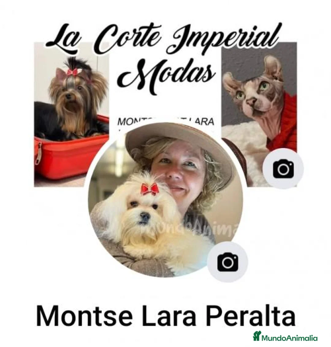 Imagen de galería {{count}}