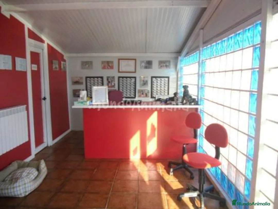 Imagen de galería {{count}}