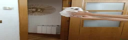 Pomerania perros en venta: Impresionantes hembras d3 pomerania  - Anuncio 2