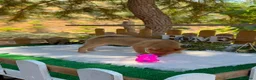 Shiba Inu perros en venta: Shiba Inu espectaculares Hembras Preciosos  - Anuncio 1