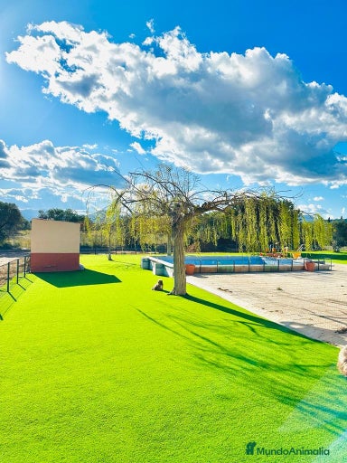 Imagen de galería {{count}}