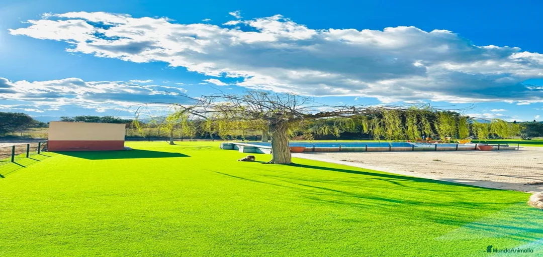 Imagen de galería {{count}}