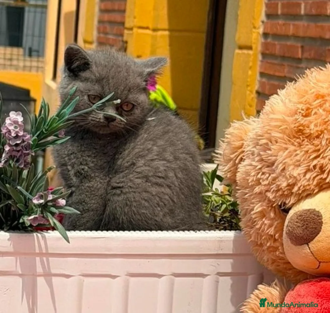 Imagen de galería {{count}}