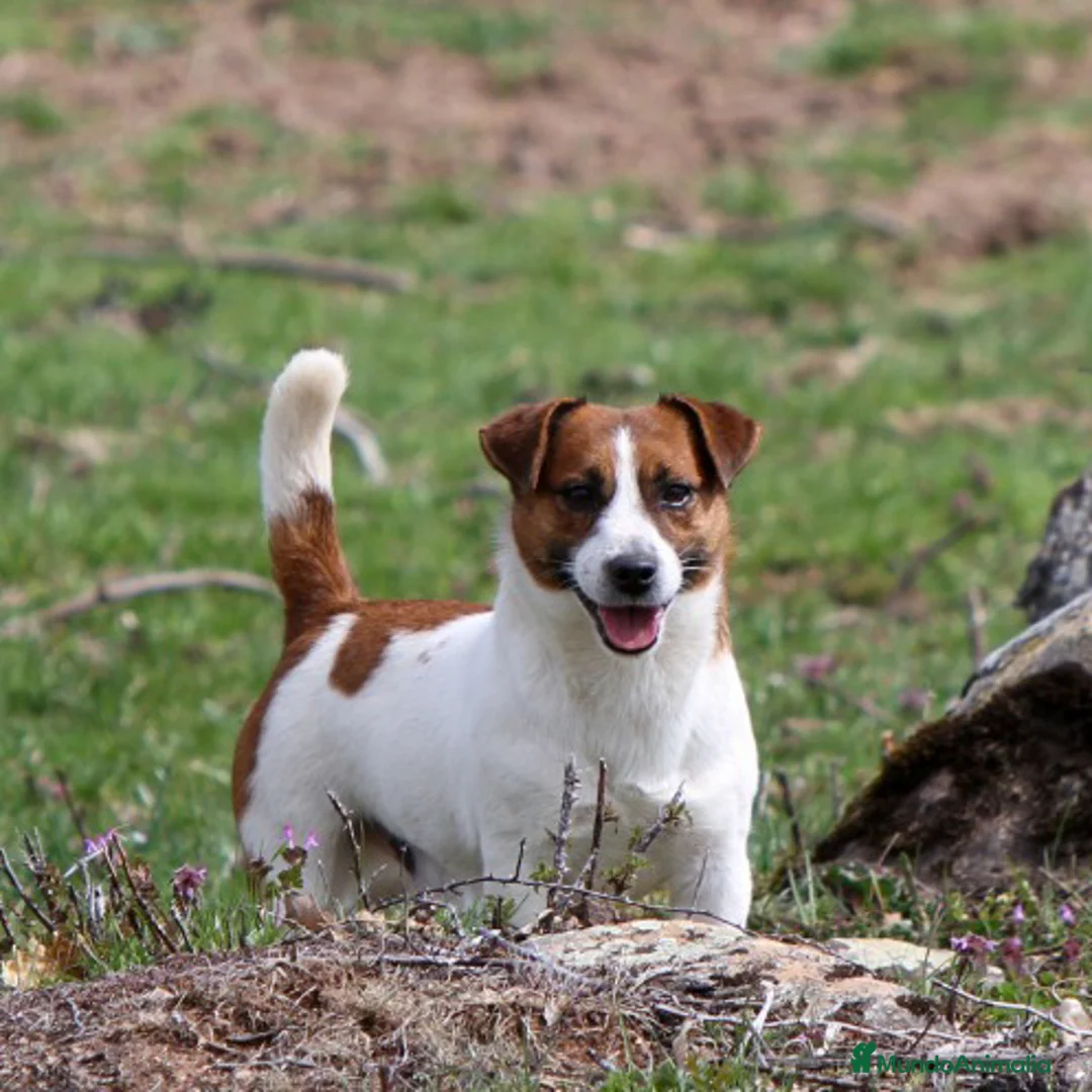 Imagen de galería {{count}}