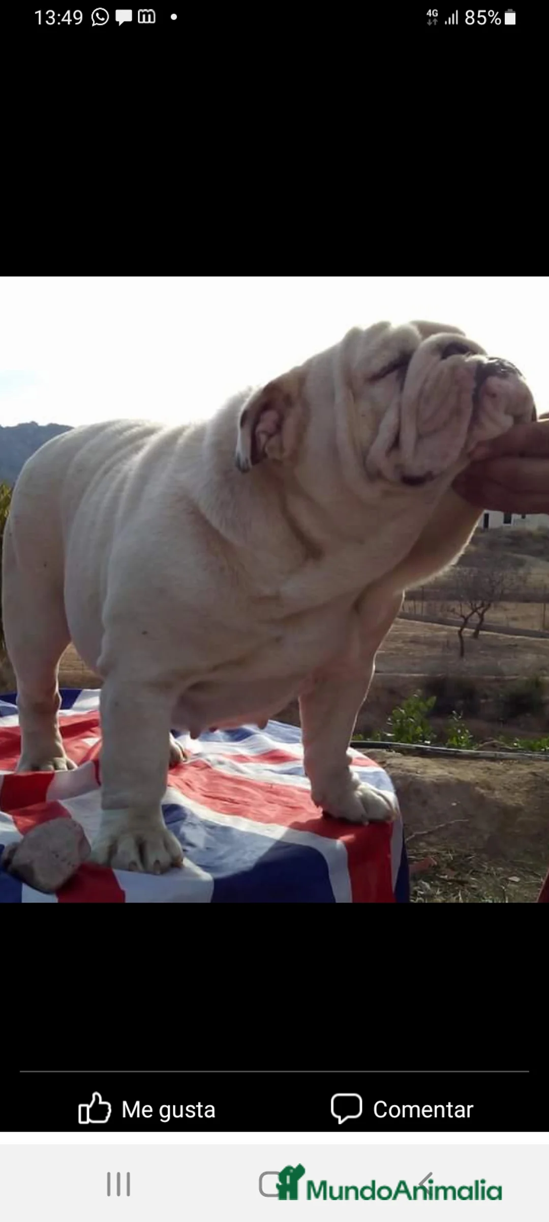 Imagen de galería {{count}}