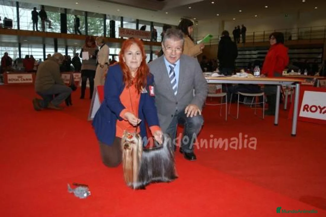 Imagen de galería {{count}}