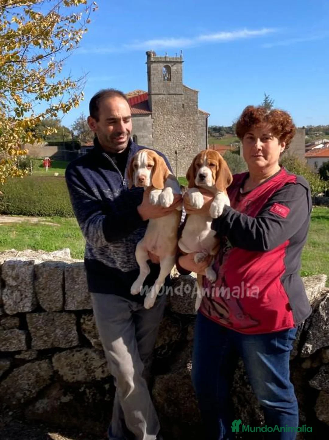 Imagen de galería {{count}}