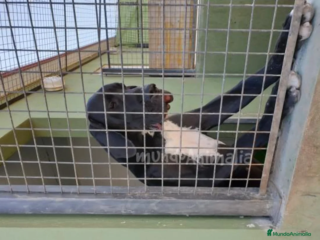 Imagen de galería {{count}}