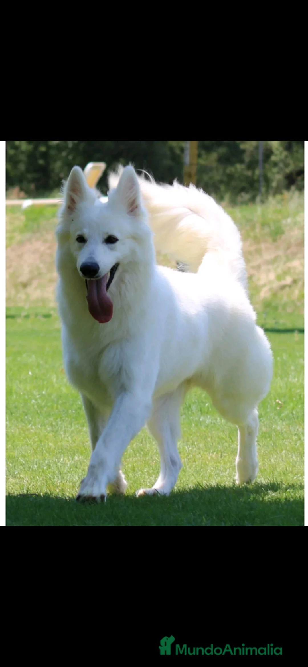 Imagen de galería {{count}}