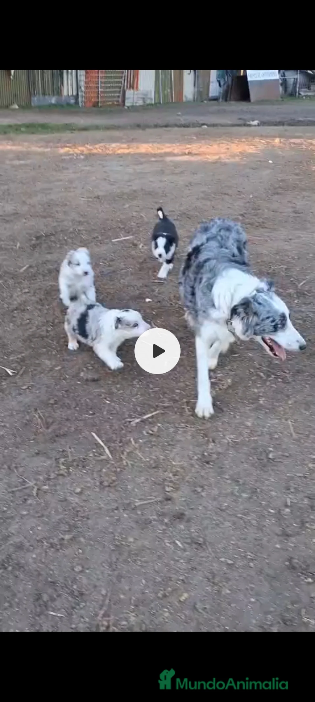 Imagen de galería {{count}}