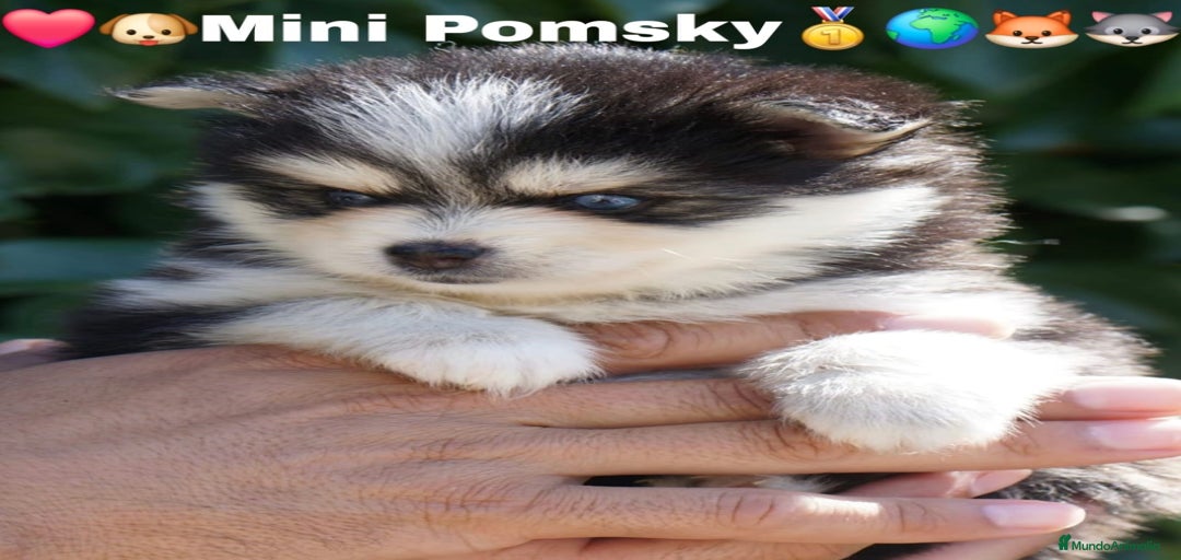 Imagen de galería {{count}}