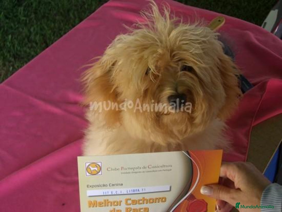 Imagen de galería {{count}}