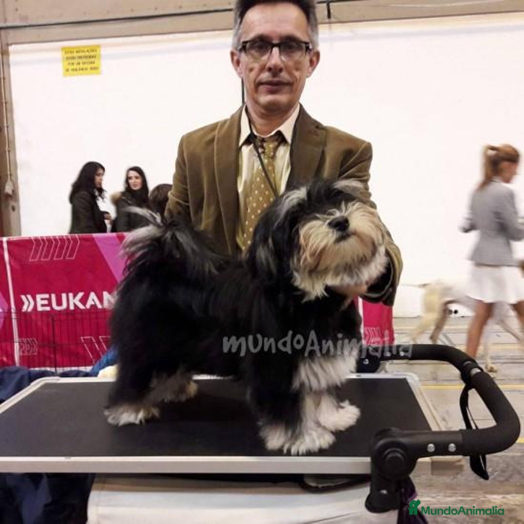 Imagen de galería {{count}}