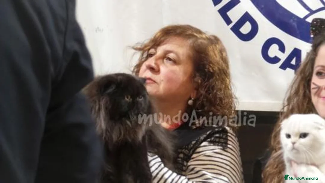 Imagen de galería {{count}}