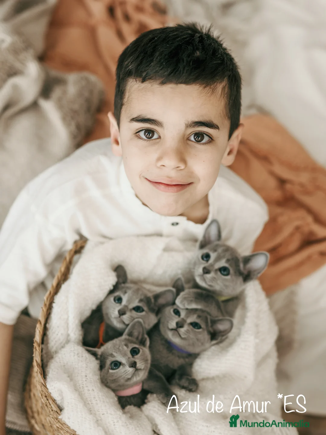 Imagen de galería {{count}}