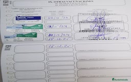 Pastor Alemán perros en venta: Cachorro pastor alemán  en Pontevedra - Imagen 12