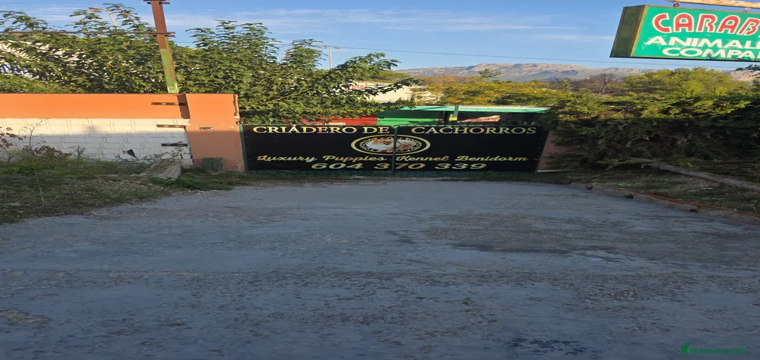 Imagen de galería {{count}}