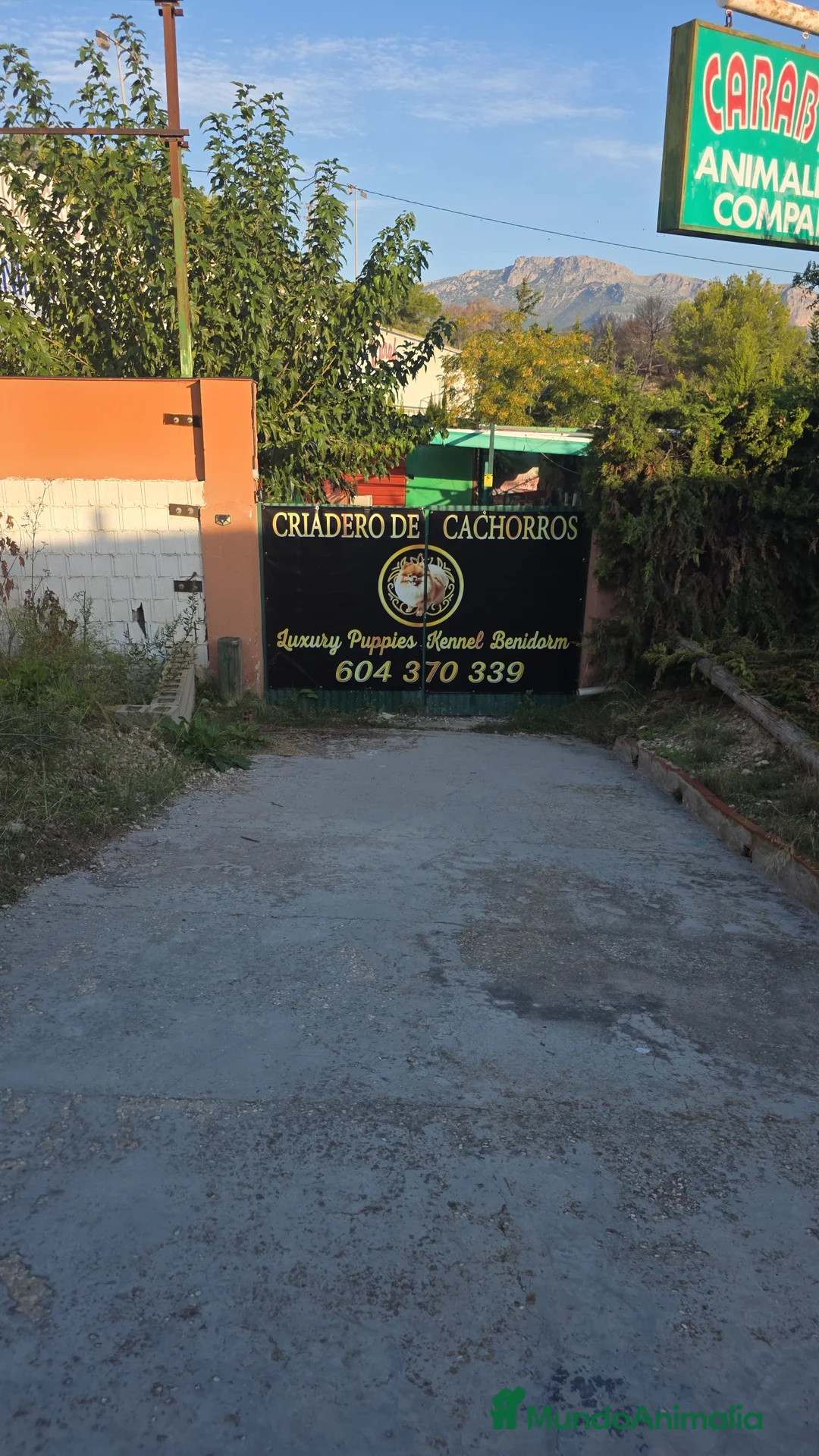 Imagen de galería {{count}}