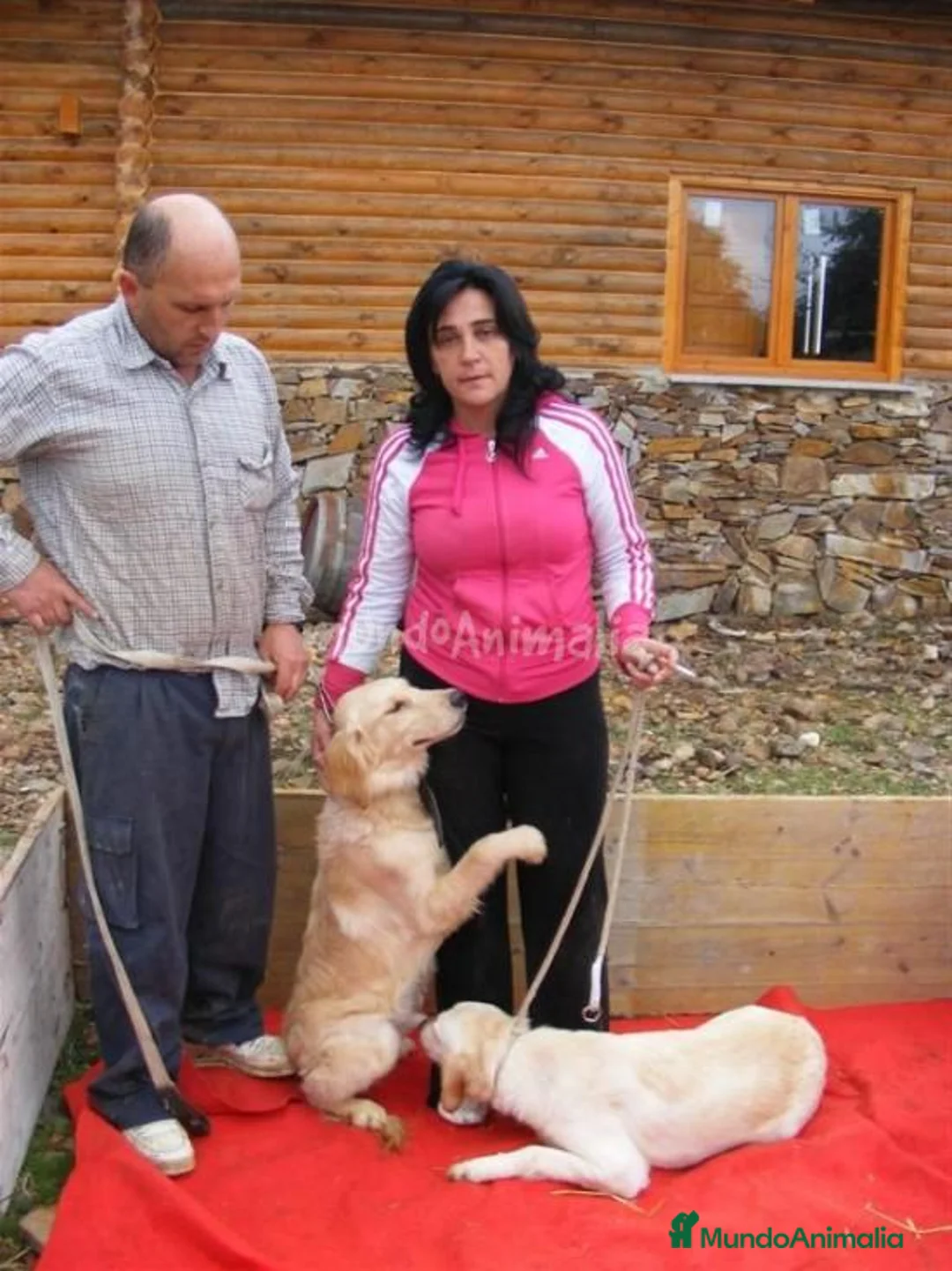 Imagen de galería {{count}}