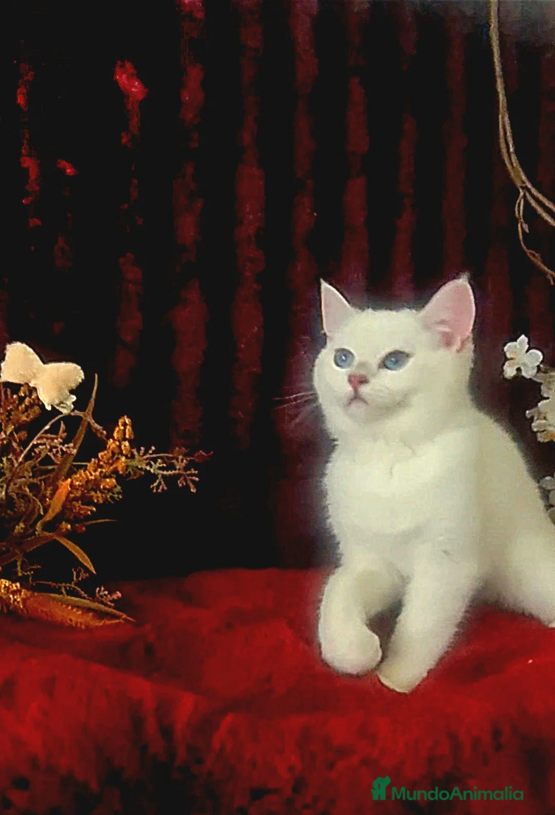 Imagen de galería {{count}}