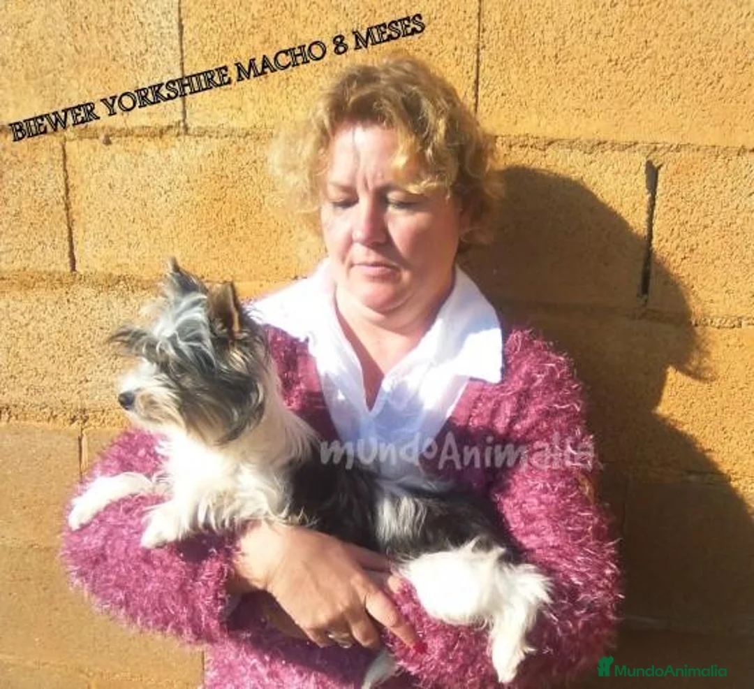 Imagen de galería {{count}}