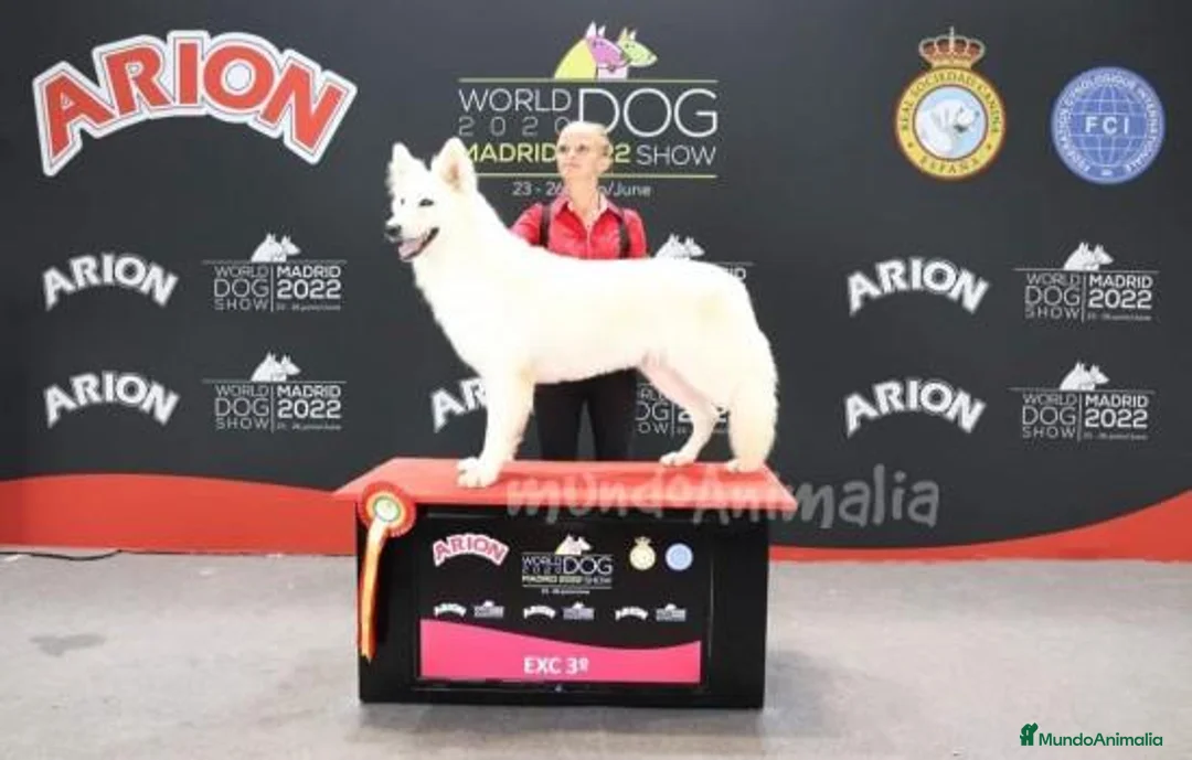 Imagen de galería {{count}}