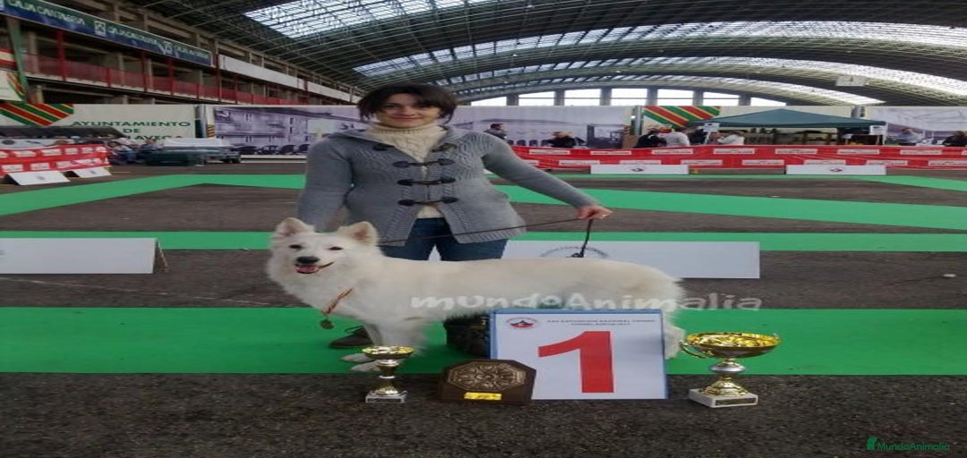 Imagen de galería {{count}}