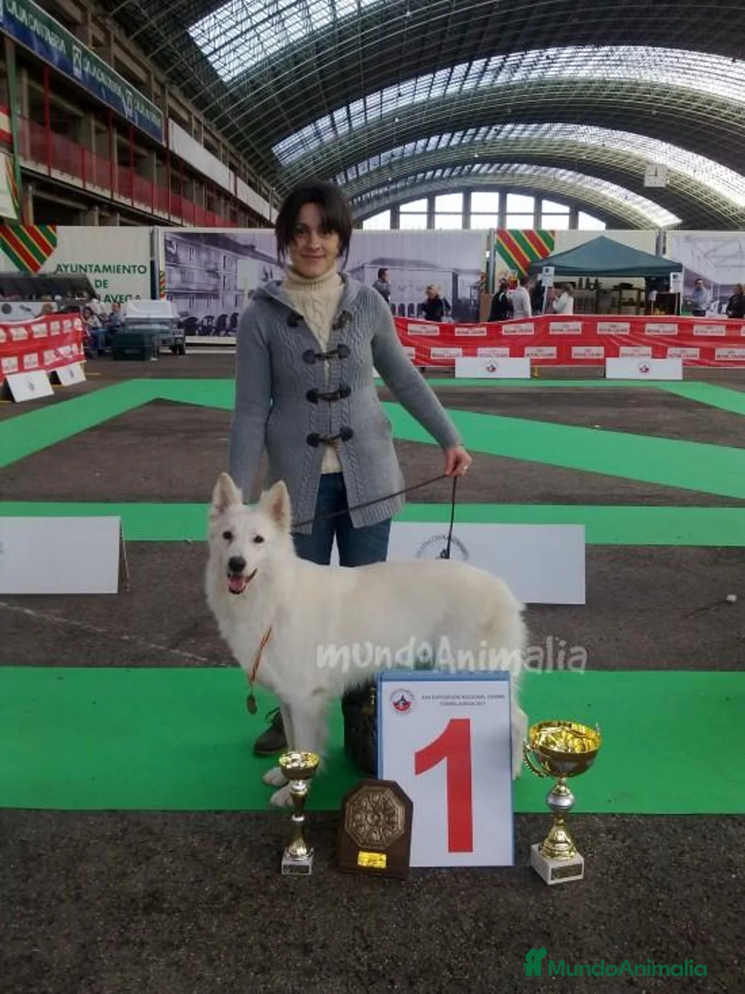 Imagen de galería {{count}}