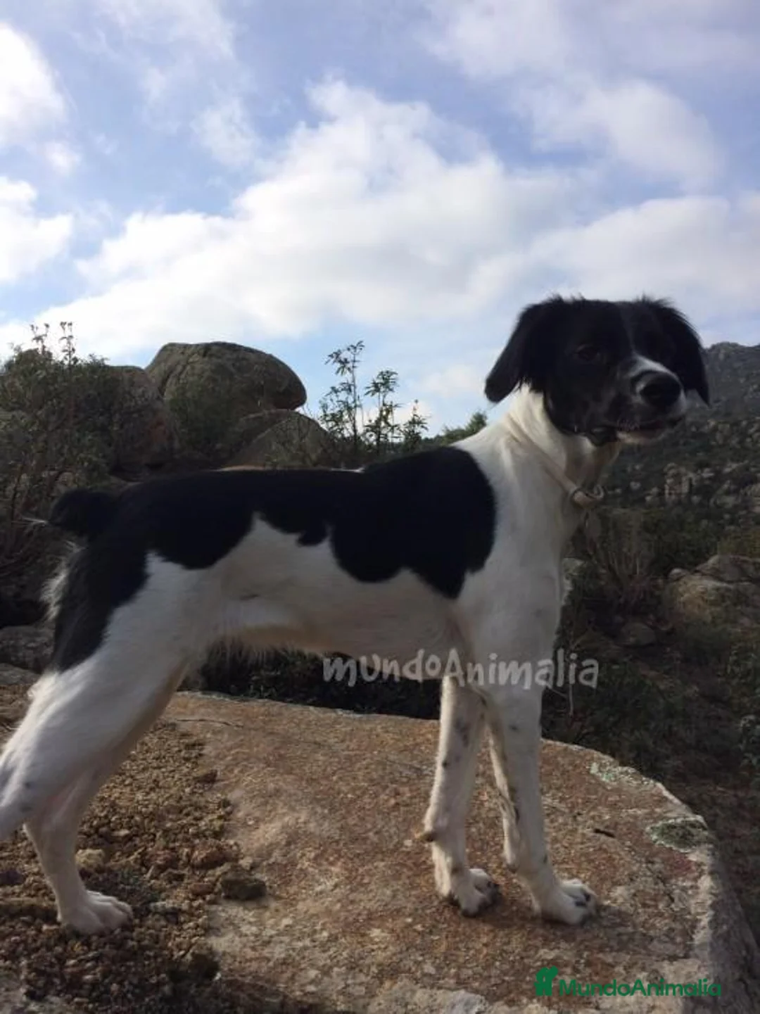 Imagen de galería {{count}}