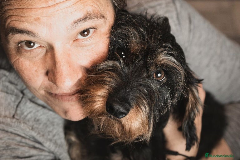 Imagen de galería {{count}}