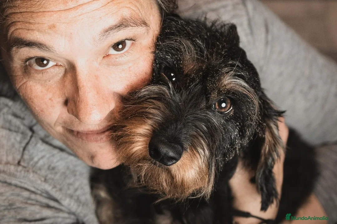 Imagen de galería {{count}}