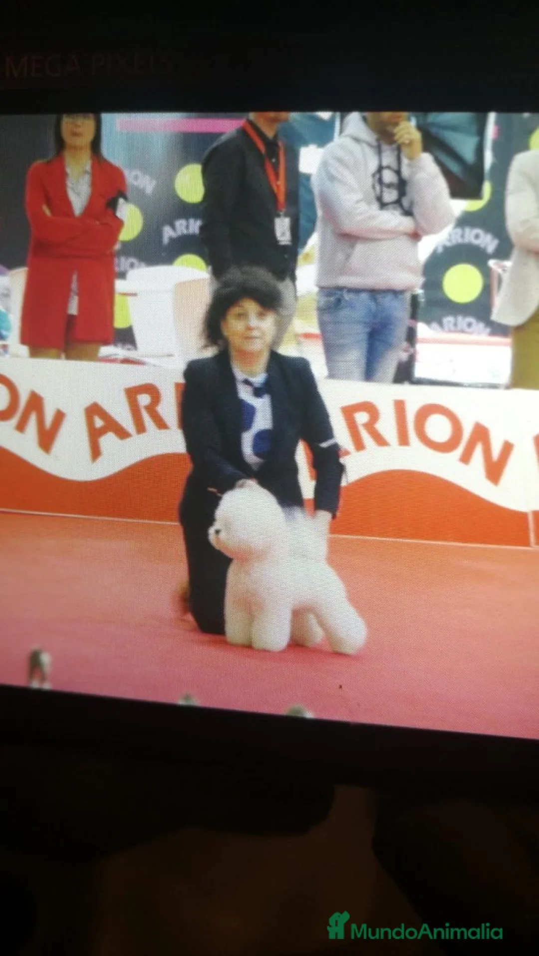 Imagen de galería {{count}}