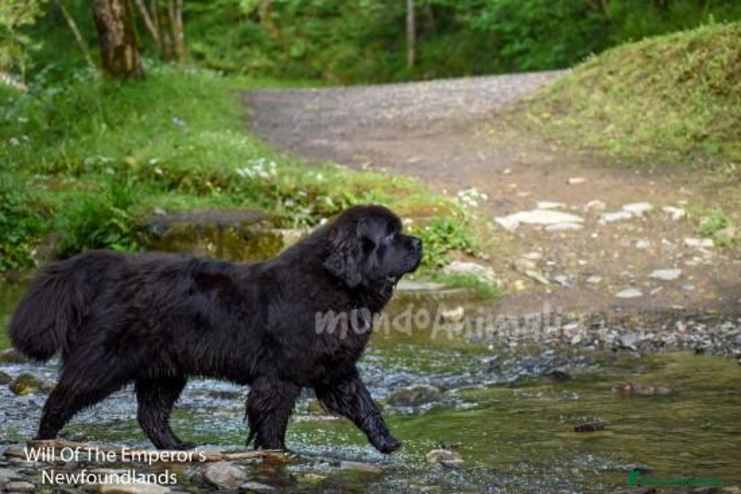 Imagen de galería {{count}}