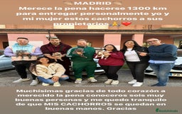 American Staffordshire-Terrier perros en venta: American Stanford, mis pequeños - Imagen 10