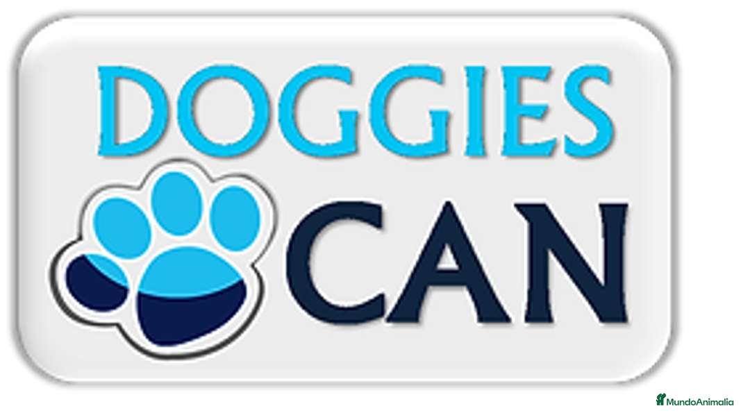 Imagen de galería {{count}}