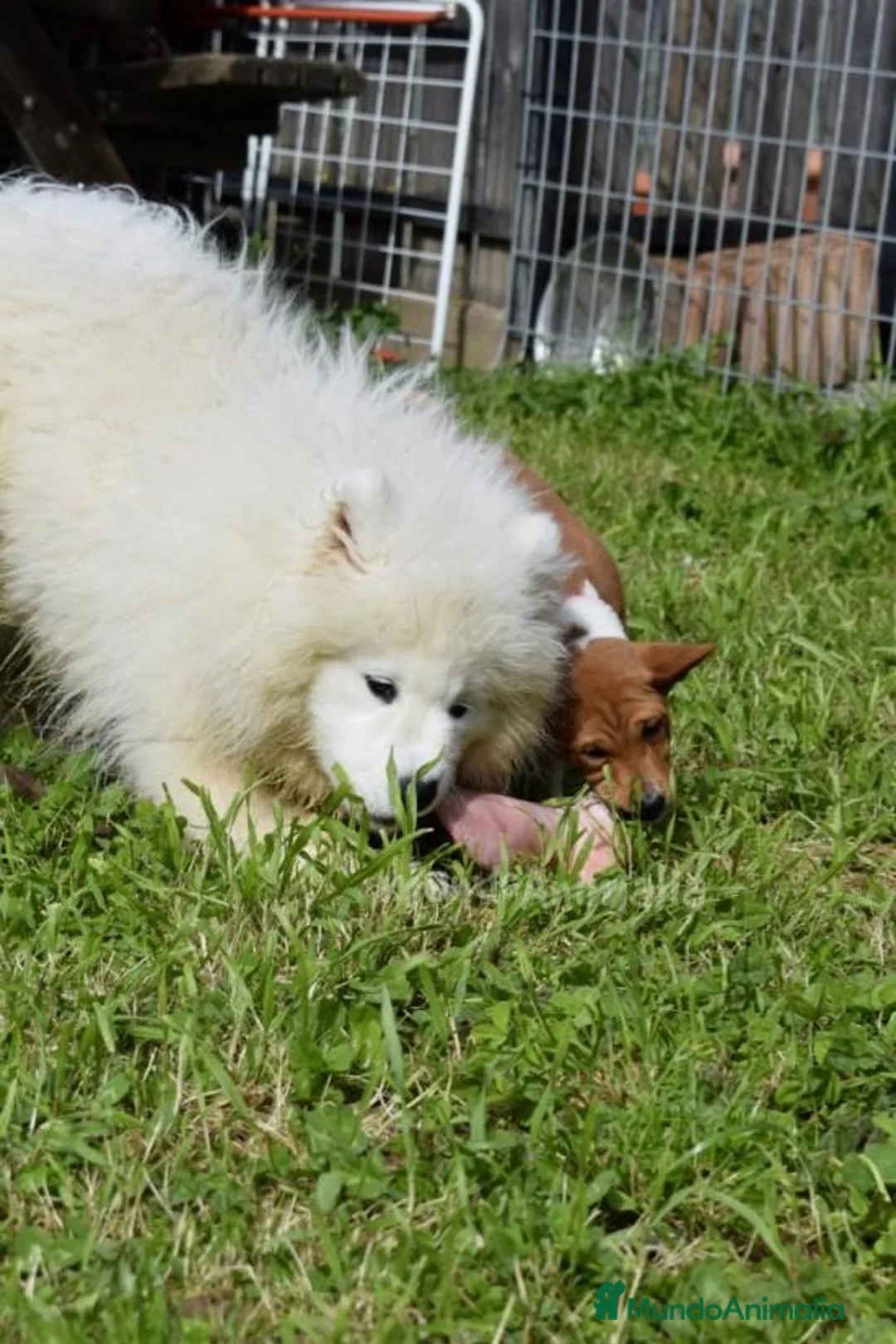 Imagen de galería {{count}}