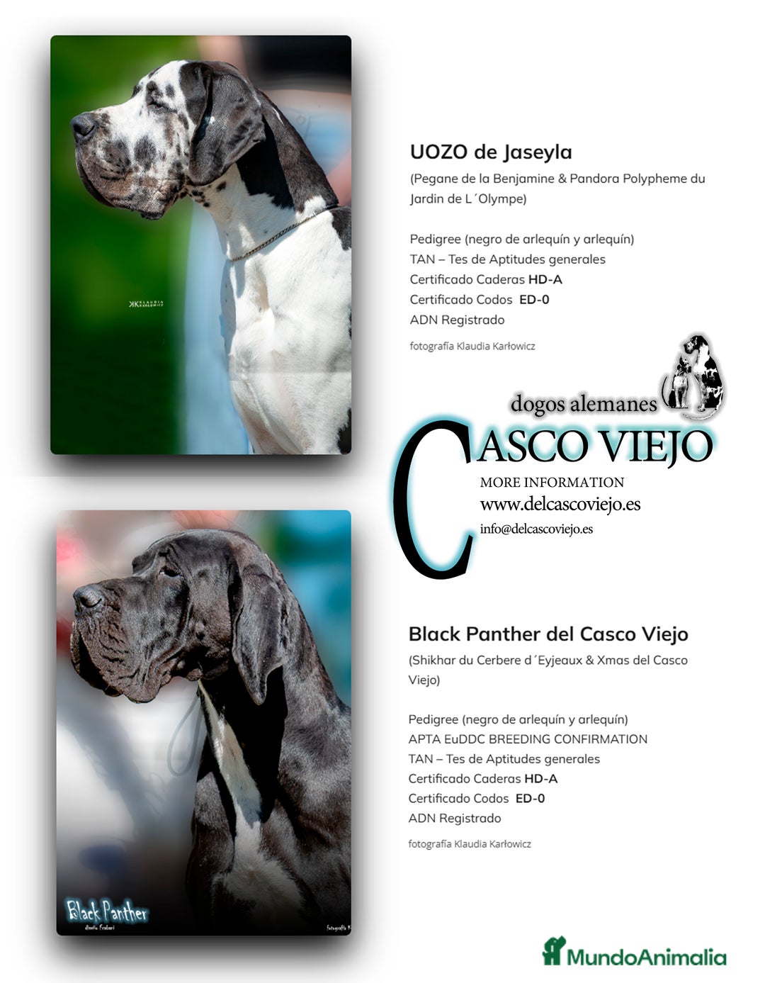 Imagen de galería {{count}}