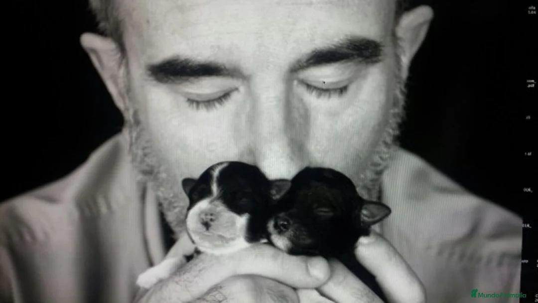 Imagen de galería {{count}}