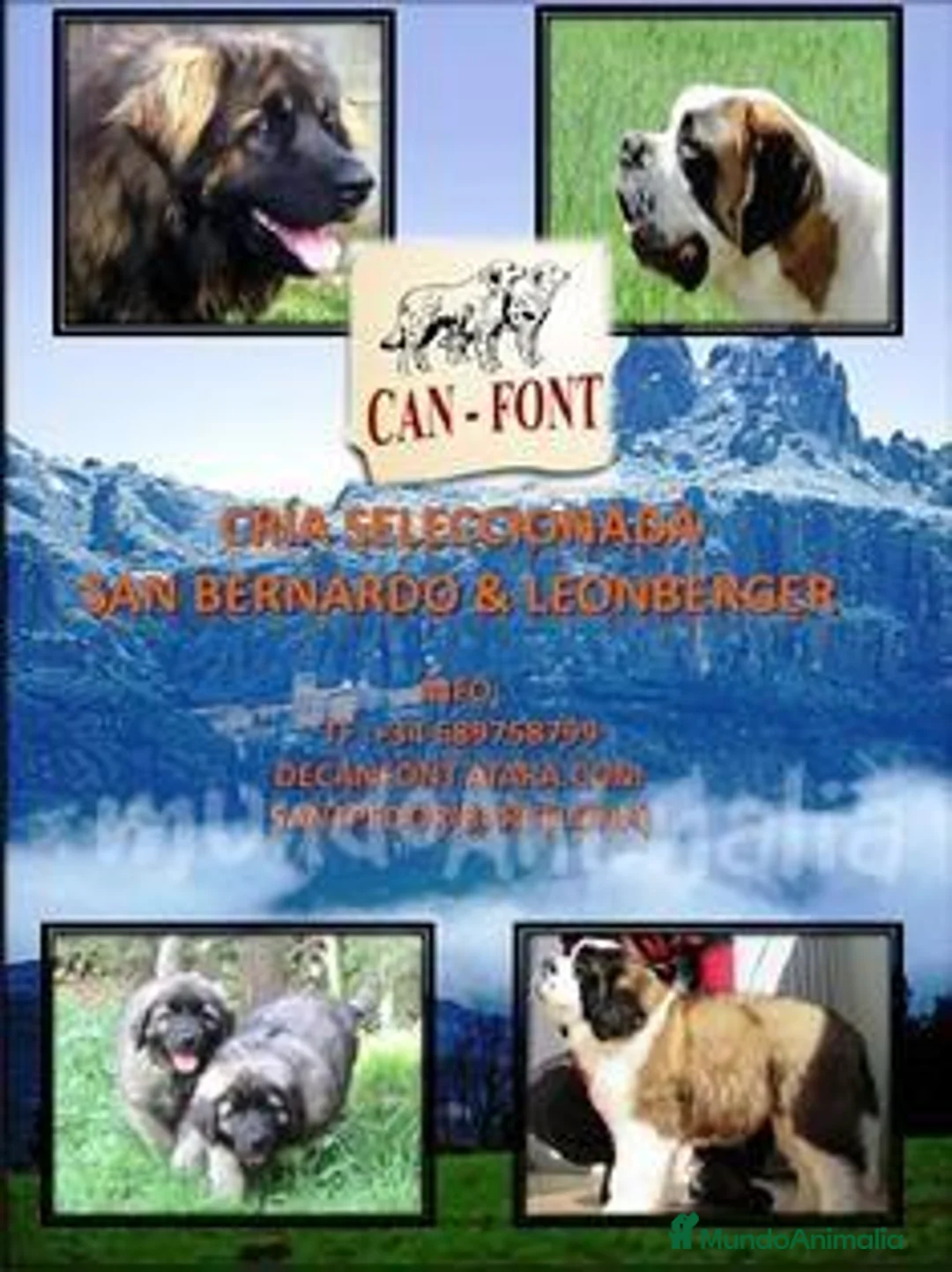 Imagen de galería {{count}}