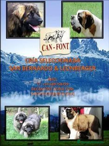 Imagen de galería {{count}}