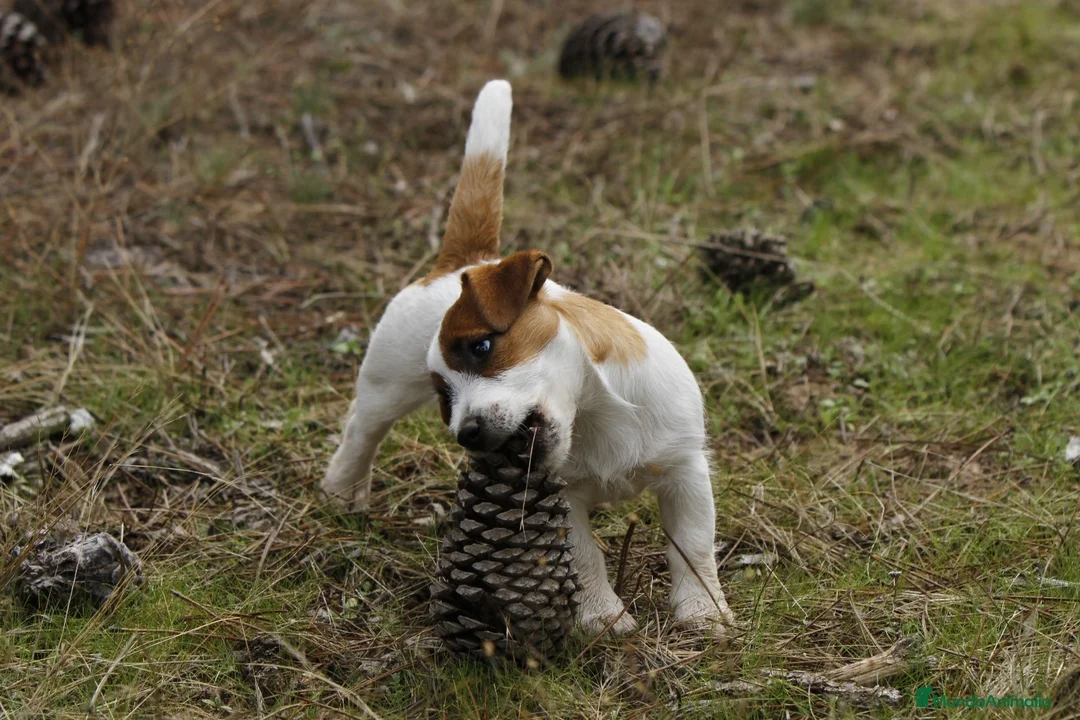 Imagen de galería {{count}}